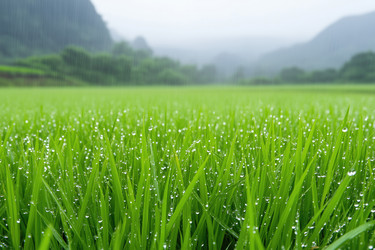 Similar image 22055923