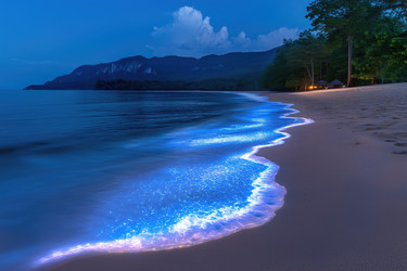 Similar image 22055925