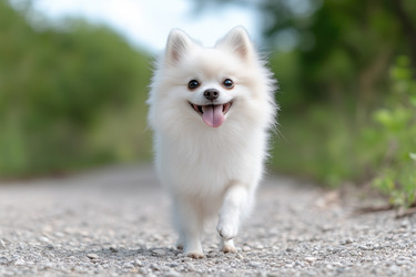 Similar image 22055973