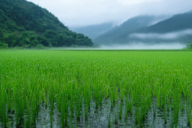 Similar image 22055974