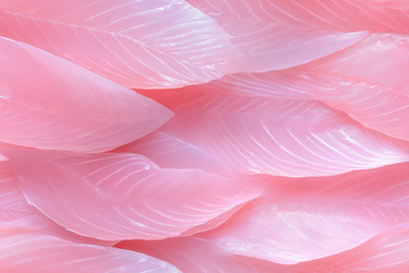 Similar image 22055876