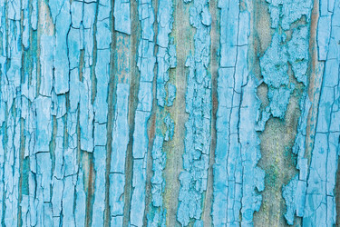 Similar image 22058210