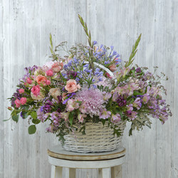 Similar image 22055679