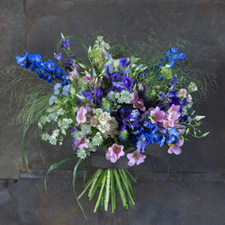 Similar image 22055695