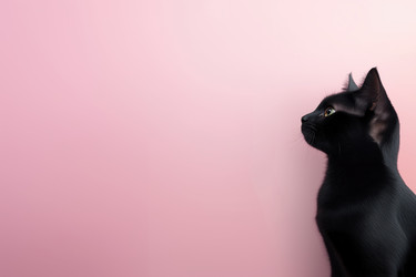 Similar image 22055935