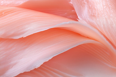 Similar image 22055945