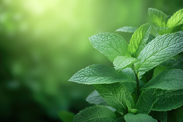 Similar image 22055979