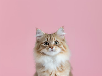 Similar image 22055980