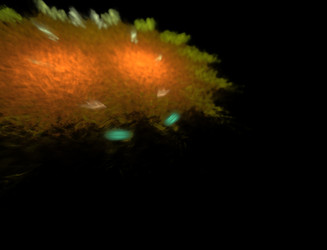 Similar image 22056677