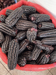 Similar image 22056507