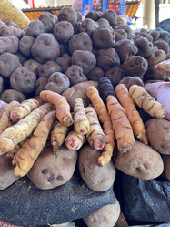 Similar image 22056508