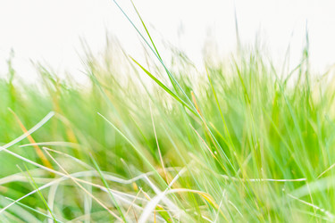 Similar image 22057128