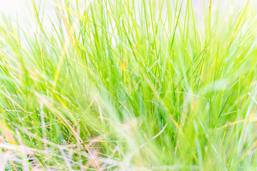 Similar image 22057130