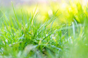 Similar image 22057131