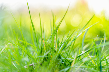 Similar image 22057132