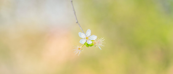 Similar image 22057198