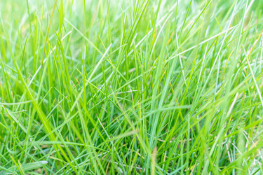 Similar image 22057200