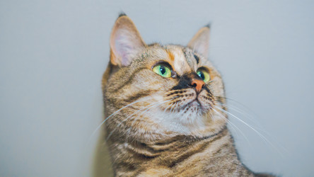 Similar image 22057201