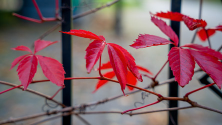 Similar image 22057203