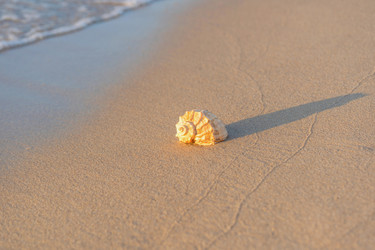 Similar image 22057206