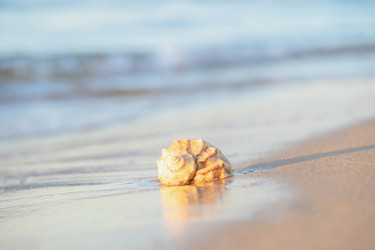 Similar image 22057207