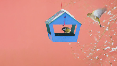 Similar image 22057208