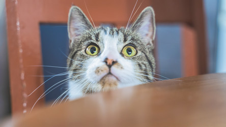 Similar image 22057211