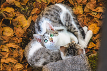 Similar image 22057220