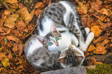 Similar image 22057221