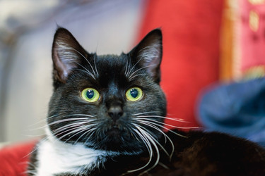 Similar image 22057230