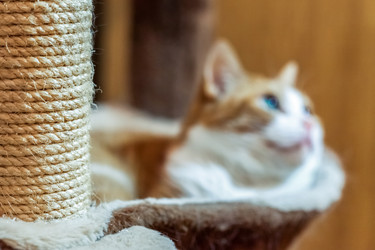 Similar image 22057232