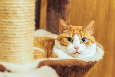 Similar image 22057234