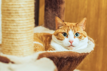 Similar image 22057235