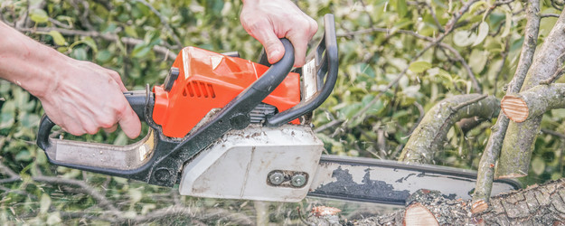 Similar image 22057237