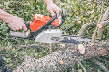 Similar image 22057238