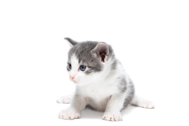 Similar image 22058228