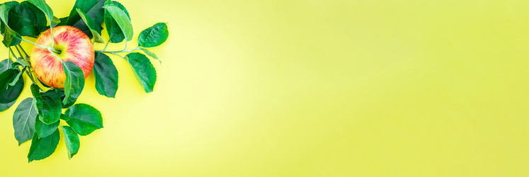 Similar image 22058231