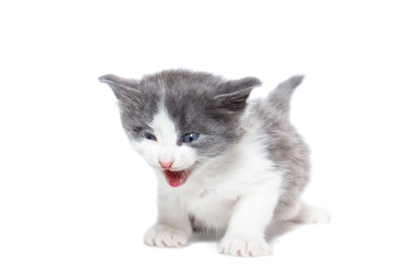 Similar image 22058232