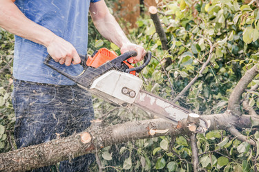 Similar image 22057133