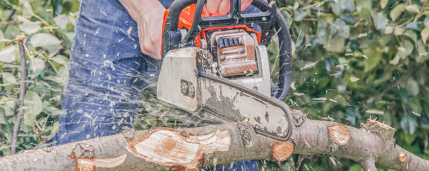 Similar image 22057134