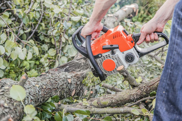 Similar image 22057239