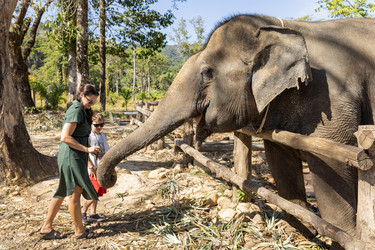 Similar image 22056156