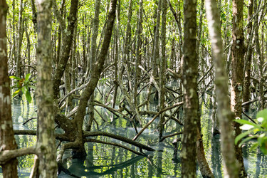 Similar image 22056158