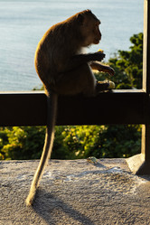 Similar image 22056159