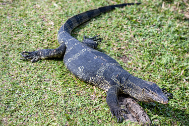 Similar image 22056165