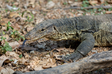 Similar image 22056170