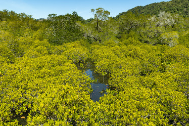 Similar image 22056179