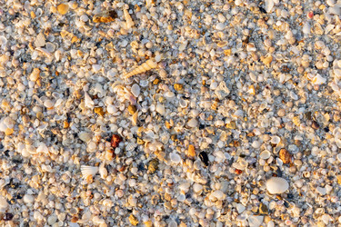 Similar image 22056184