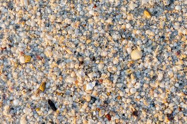 Similar image 22056186