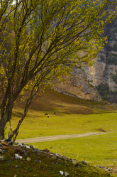 Similar image 22055731